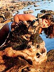 Single Ukraine women Natal'ya from Poltava